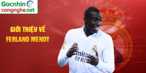 Giới thiệu về ferland mendy